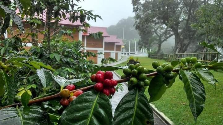 Finca Santa Rosa Teocelo 外观 照片