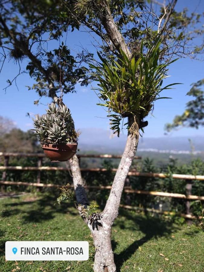 Finca Santa Rosa Teocelo 外观 照片